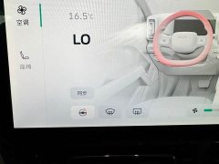 Haval Manlong Gasoline 2.0T 4WD Ultra - ფოტო 14