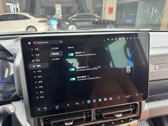 Haval Manlong Gasoline 2.0T 4WD Ultra - ფოტო 5