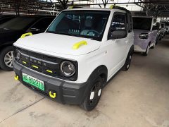 Geely Panda 210km Panda Knight - photo 1