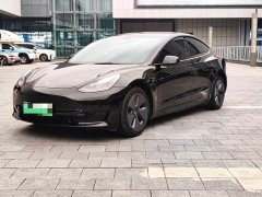 Tesla Model 3 Standard Range RWD Upgrade - photo 1