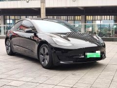 Tesla Model 3 Standard Range RWD Upgrade - photo 3