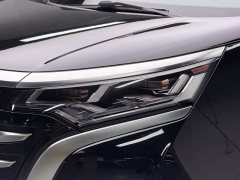 Denza D9 DM-i 970 Luxury - ფოტო 13