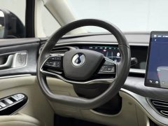 Denza D9 DM-i 970 Luxury - ფოტო 16