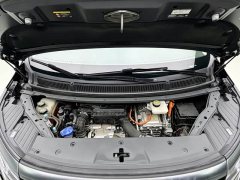 Denza D9 DM-i 970 Luxury - ფოტო 19