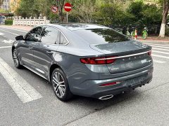 Geely Xingrui 2.0T Diesel Premium Edition - ფოტო 6
