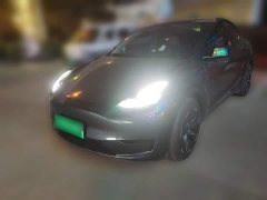 Tesla Model Y Rear-Wheel Drive - ფოტო 1
