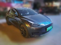 Tesla Model Y Rear-Wheel Drive - ფოტო 3