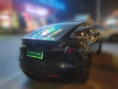 Tesla Model Y Rear-Wheel Drive - ფოტო 6