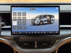 Denza D9 DM-i Smart Drive 1020 Four-Wheel Drive Premium - ფოტო 11