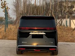 Denza D9 DM-i Smart Drive 1020 Four-Wheel Drive Premium - ფოტო 16