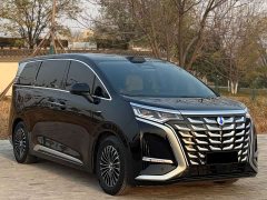 Denza D9 DM-i Smart Drive 1020 Four-Wheel Drive Premium - ფოტო 3