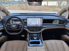 Denza D9 DM-i Smart Drive 1020 Four-Wheel Drive Premium - ფოტო 8