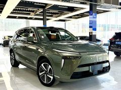 Great Wall WEY Blue Mountain Four-Wheel Drive Max - ფოტო 12