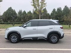 BYD Yuan UP 301KM Pilot Edition - ფოტო 3