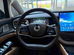 Denza D9 DM-i 980 AWD Luxury - ფოტო 11