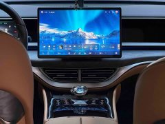 Denza D9 DM-i 980 AWD Luxury - ფოტო 12