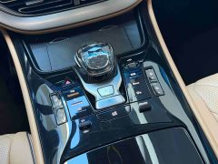 Denza D9 DM-i 980 AWD Luxury - ფოტო 13