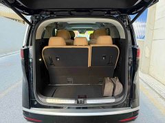 Denza D9 DM-i 980 AWD Luxury - ფოტო 17