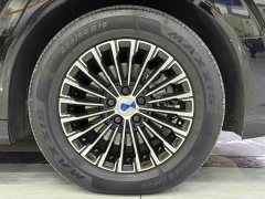 Denza D9 DM-i 980 AWD Luxury - ფოტო 19