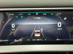 Denza D9 DM-i 980 AWD Luxury - ფოტო 20