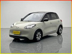 Wuling Binguo 333km Joy Edition - ფოტო 1