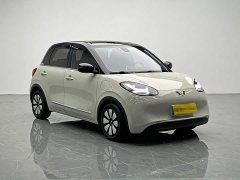Wuling Binguo 333km Joy Edition - ფოტო 8