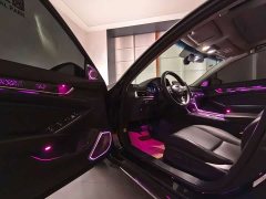 Honda Accord 260TURBO Luxury Edition - ფოტო 10