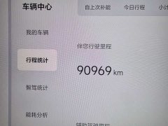 Li Auto L9 Max - ფოტო 10