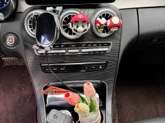 Mercedes-Benz C-Class (Imported) C 260 Coupe - ფოტო 16