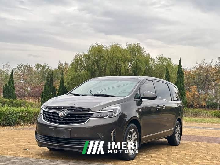 Buick GL8 Land Business Class 652T Premium - ავტომობილი ჩინეთიდან