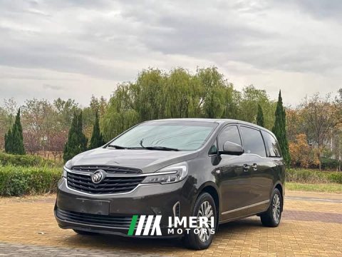 2021 Buick GL8 Land Business Class 652T Premium - car from China