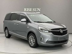 Buick GL8 Land Executive Cabin 652T Luxury - ფოტო 3