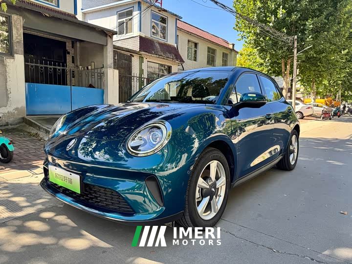 ORA Good Cat 430km Deluxe Edition - ავტომობილი ჩინეთიდან