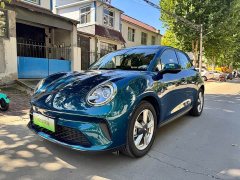 ORA Good Cat 430km Deluxe Edition - ფოტო 1