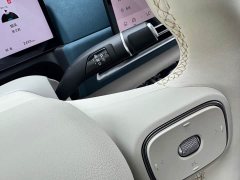 ORA Good Cat 430km Deluxe Edition - ფოტო 12