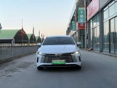 BYD Destroyer 05 Glory Edition DM-i 55KM Luxury - фото 2