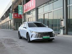 BYD Destroyer 05 Glory Edition DM-i 55KM Luxury - фото 3