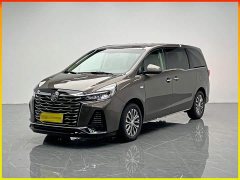 Buick GL8 Land Executive Cabin 652T Luxury - ფოტო 1