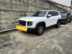 Great Wall Dachshund 1.5T DCT Two-Wheel Drive Border Collie Edition - ფოტო 1