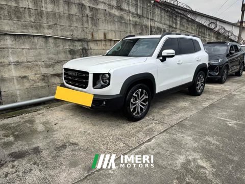 2021 Great Wall Dachshund 1.5T DCT Two-Wheel Drive Border Collie Edition - ავტომობილი ჩინეთიდან