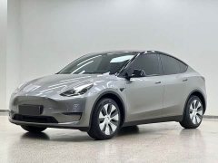 Tesla Model Y Long Range All-Wheel Drive - ფოტო 1