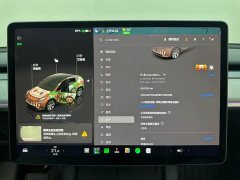 Tesla Model Y Long Range All-Wheel Drive - ფოტო 11