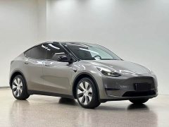 Tesla Model Y Long Range All-Wheel Drive - ფოტო 3