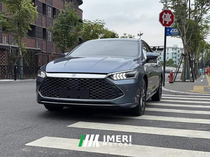 BYD Qin PLUS Glory Edition DM-i 55KM Leading