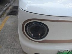 Geely Panda 200km Panda Kart - ფოტო 7