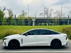 FAW Red Flag H6 2.0T Zhishang Edition - фото 3