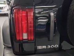 Tank 300 Off-Road Edition 2.0T Conqueror - ფოტო 11