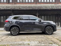 Changan Chitu Lingyun 400T Two-Wheel Drive Star Premium Edition - photo 11
