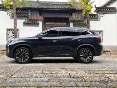 Changan Chitu Lingyun 400T Two-Wheel Drive Star Premium Edition - photo 4
