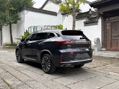 Changan Chitu Lingyun 400T Two-Wheel Drive Star Premium Edition - photo 5